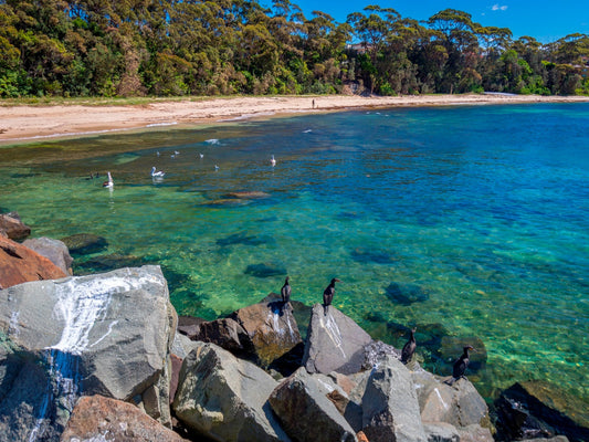 Diving in Ulladulla