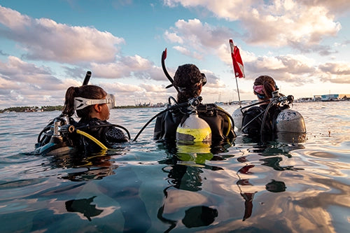 SDI Dive Master Course