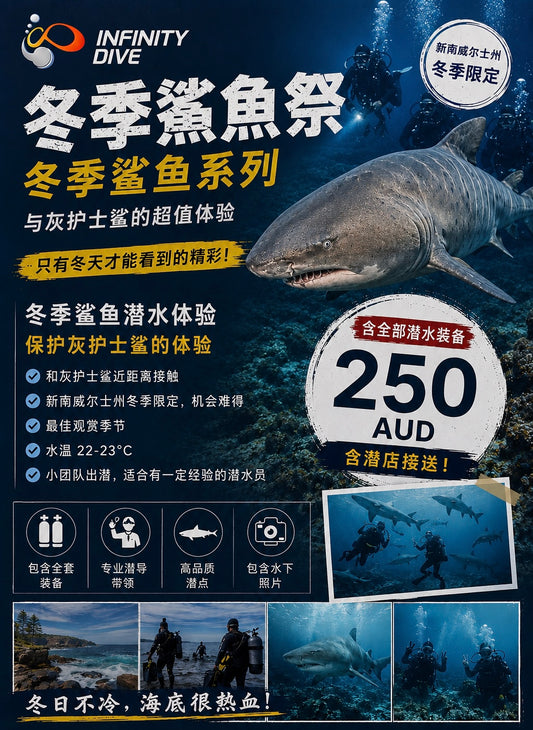 Bushrangers Bay Shark Dive