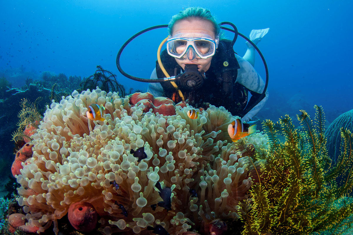 Open Water Scuba Diving Course