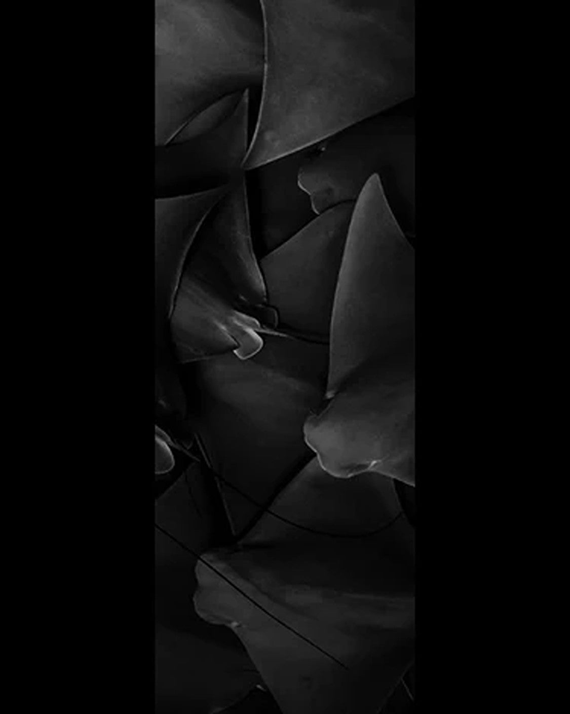 DiveR - Dark Dancing by Alex Kydd Free Diving Fin Blades