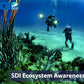 SDI Marine Eco Systems Awareness Diver Course