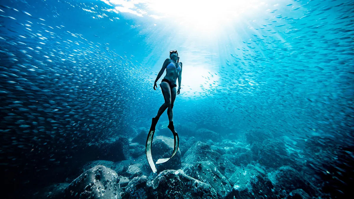 Sydney Free Diving Chinese Course - Molchanovs or AIDA