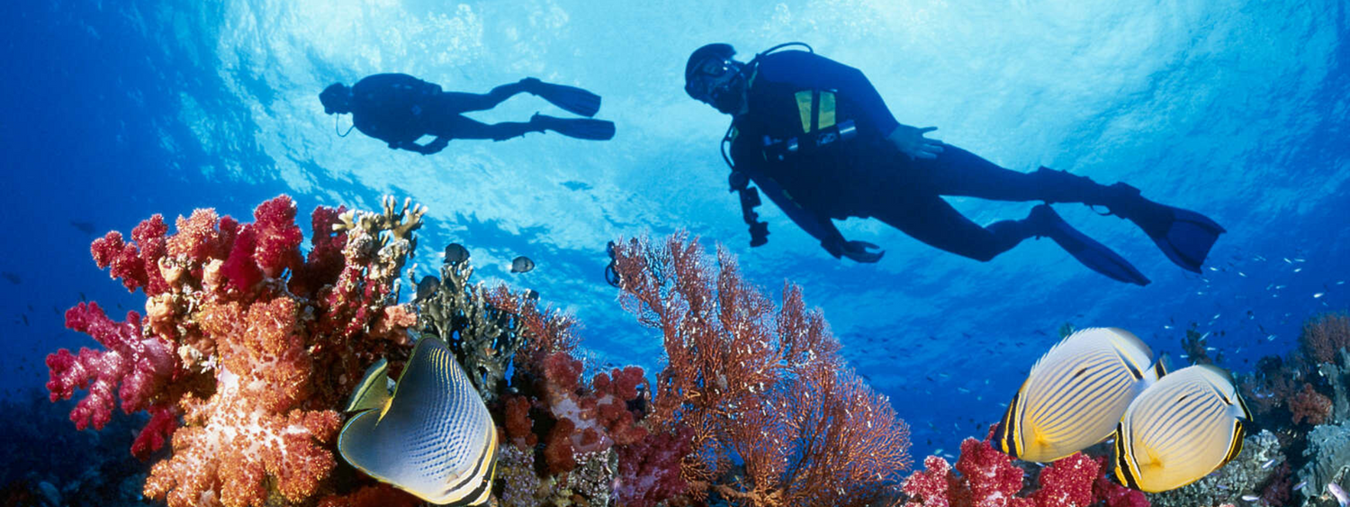 scuba diving gear