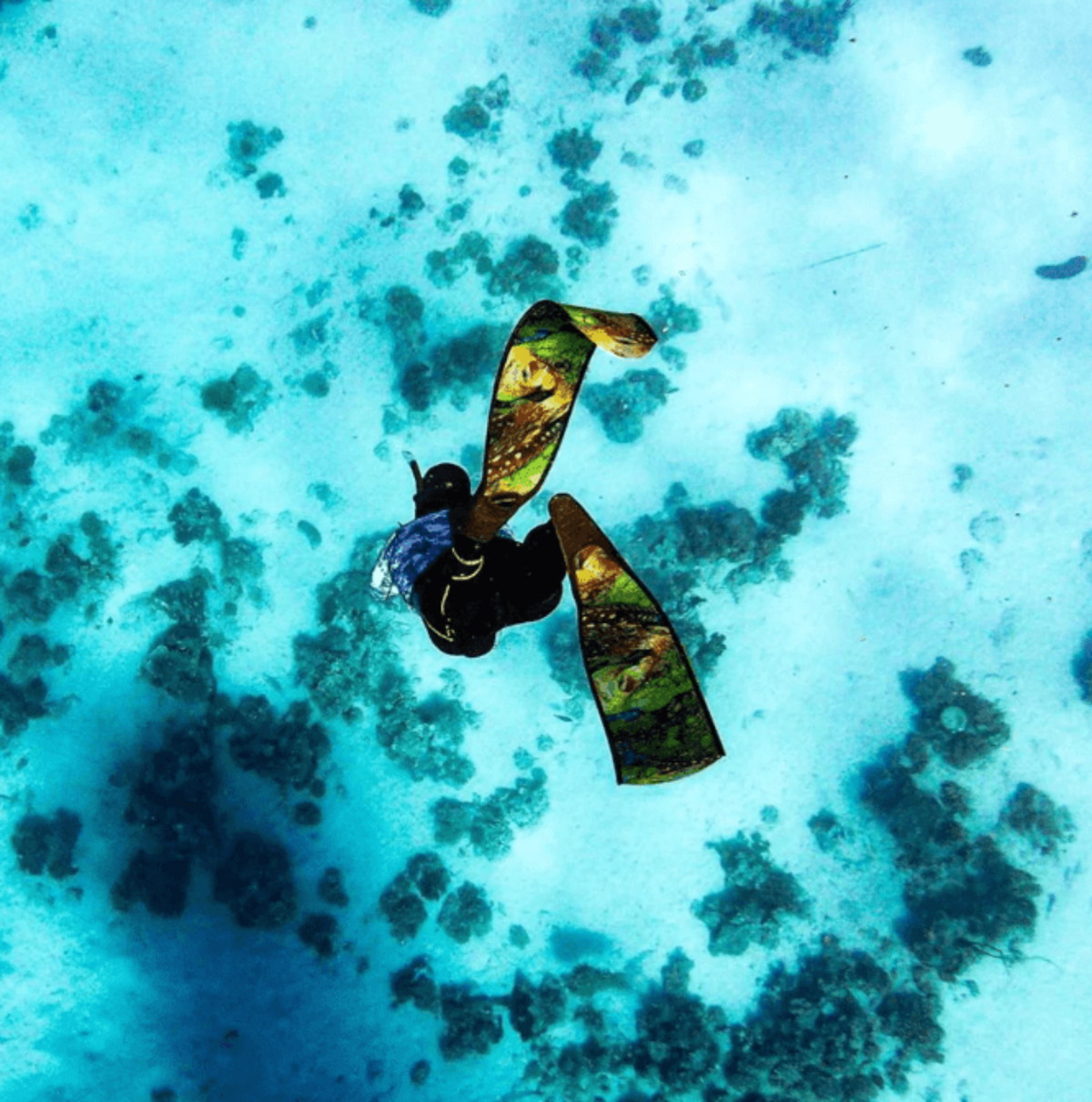 DiveR - Tako Free Diving Fin Blades - Infinity DiveDiveR - Tako Free Diving Fin BladesDiveR