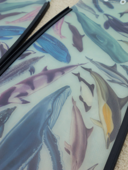 Divermon Cetaceans Free Diving Fins Blades - Composite Soft