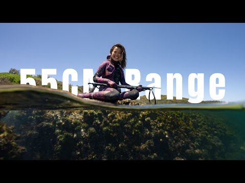 Hunt Master Tasman Aluminium Invert Head Speargun - Black or White