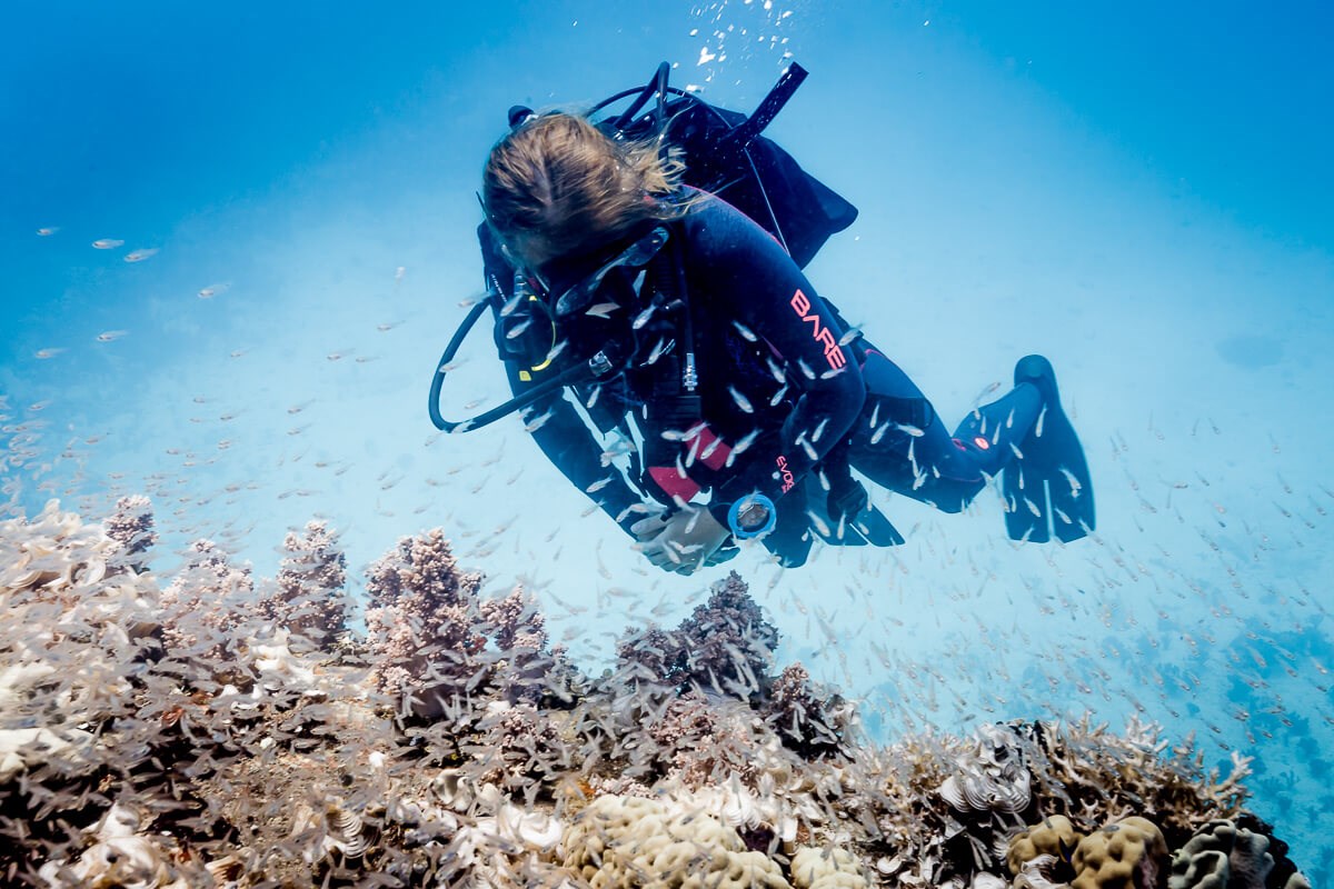 Suunto Zoop Novo Dive Computer