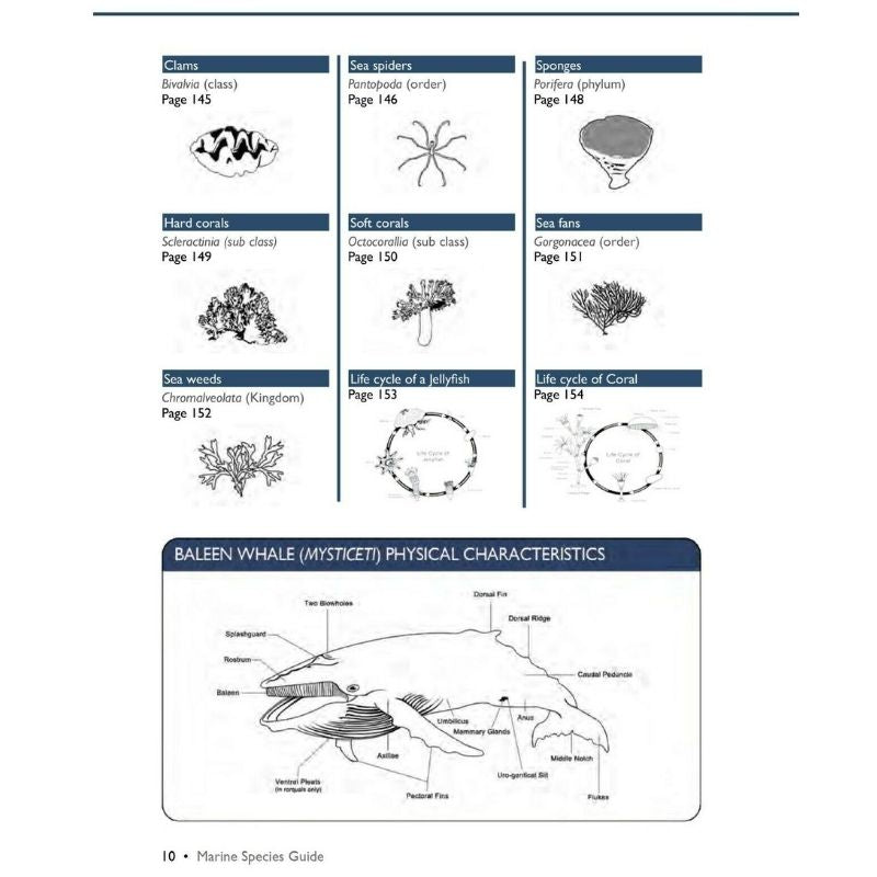 Marine Species Guide