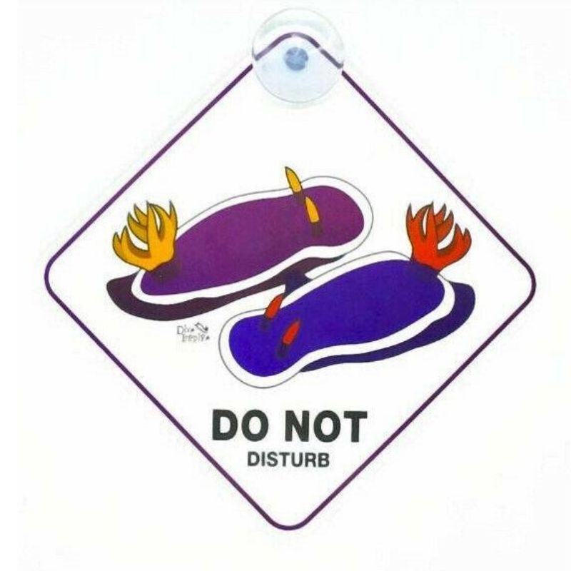 Scuba Diver Window Sign/ Nudibranch