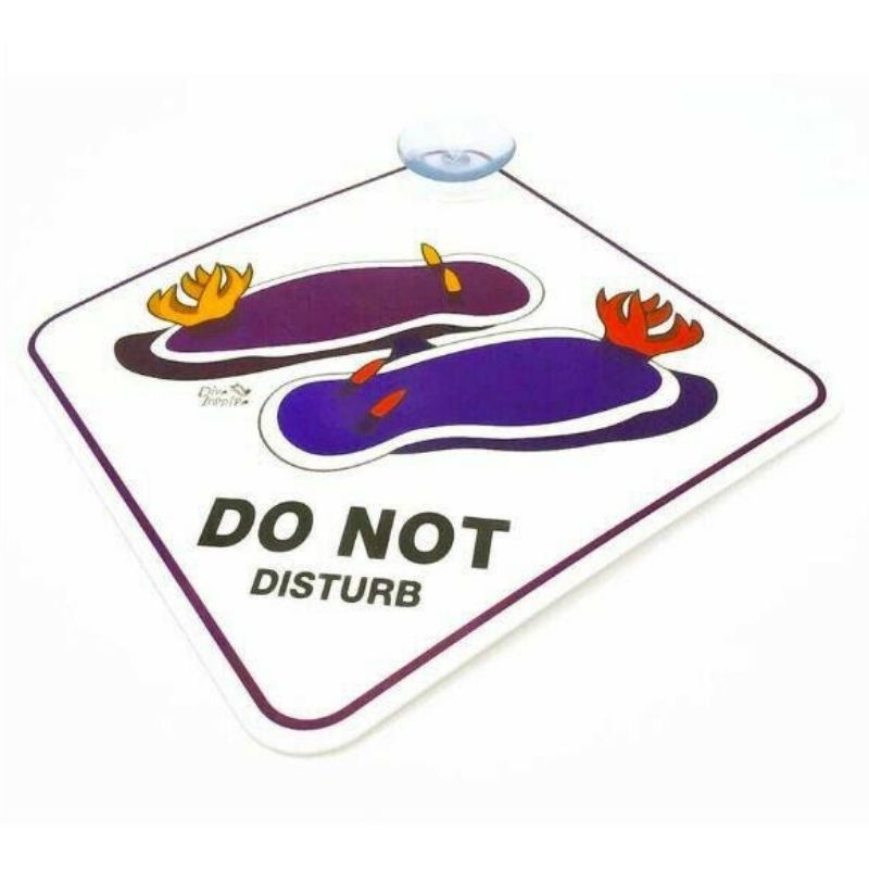 Scuba Diver Window Sign/ Nudibranch