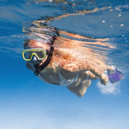 Discover Snorkelling Course