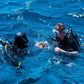 Rescue Diving Course