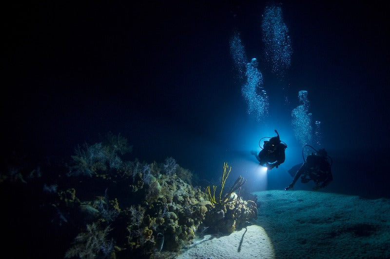 Advanced Adventures Diver Course (Advanced Open Water)