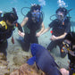 Open Water E-Learning Course