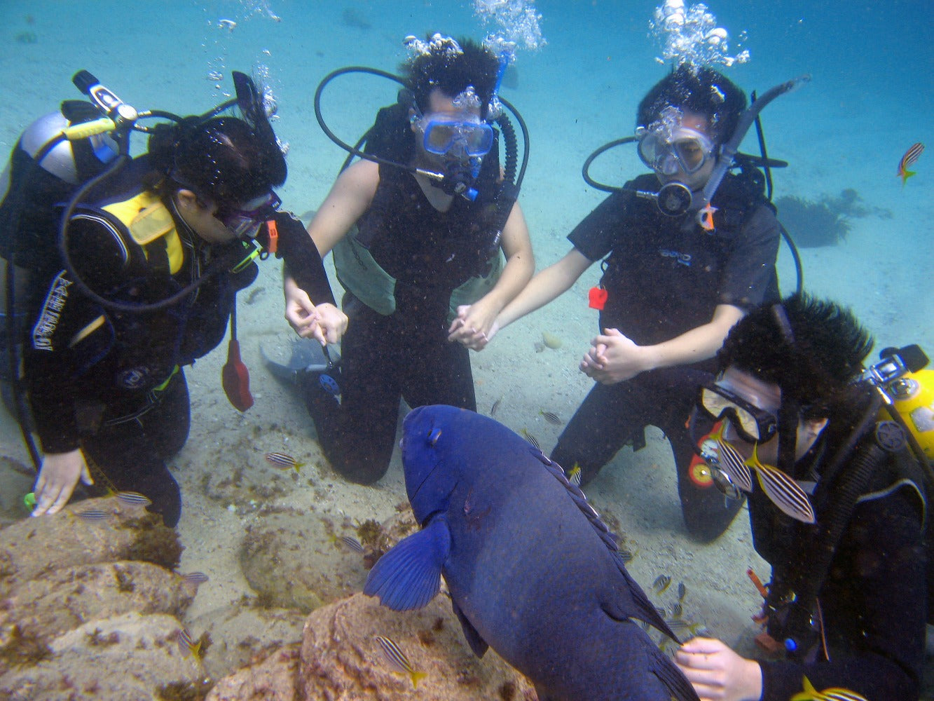 SDI Open Water Scuba Diver E-Learning Course