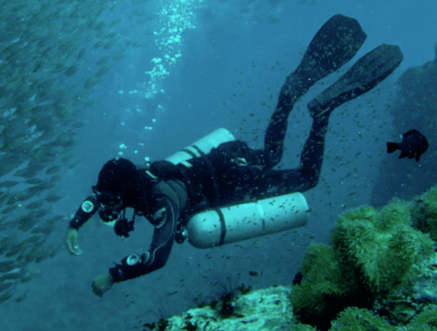 SDI Sidemount Diver Course - Infinity DiveSDI Sidemount Diver CourseInfinity Dive
