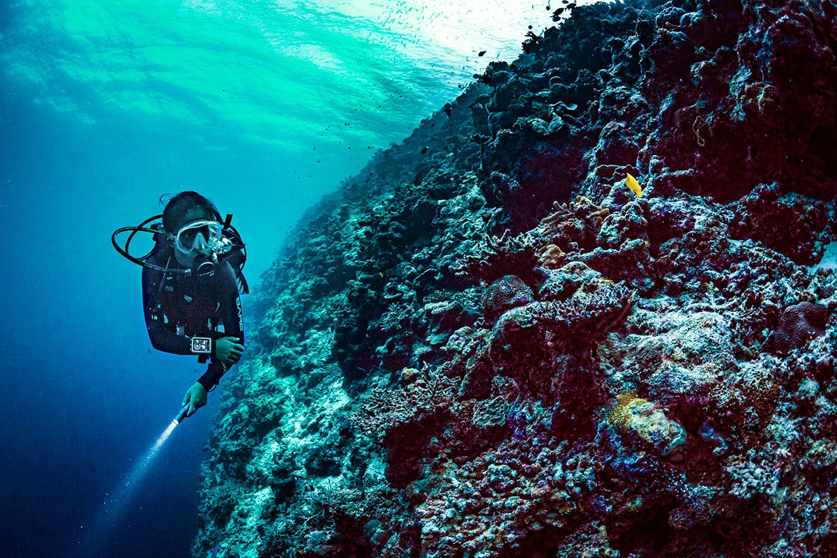 Suunto Eon Core Dive Computer with USB Cable with Optional Tank Pod