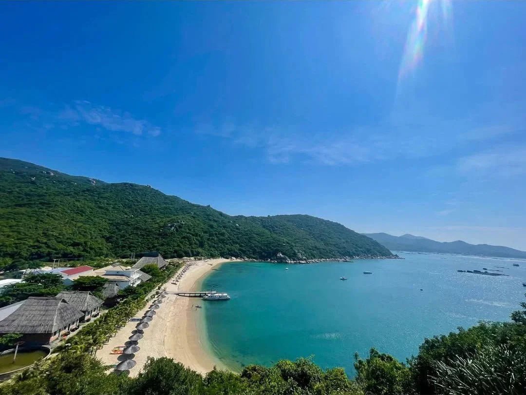 Dive into Vietnam! Experience an Unforgettable Underwater Adventure in Southeast Asia - Infinity Dive