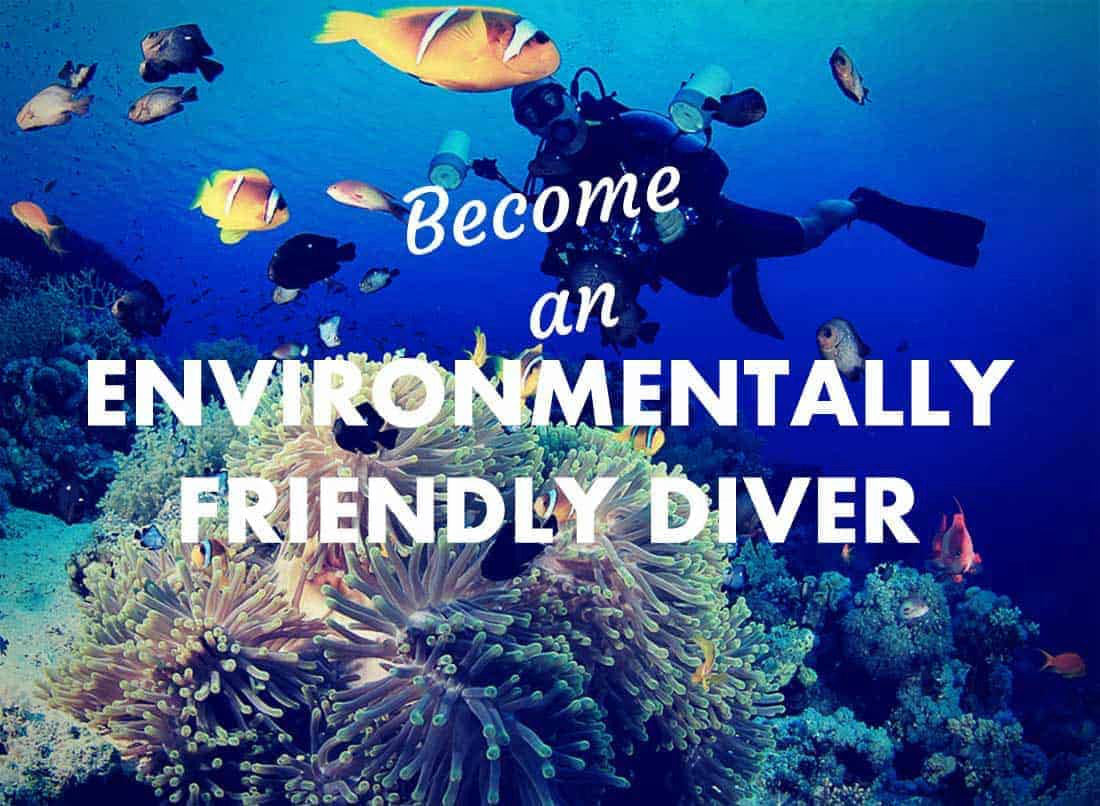 5 Easy Ways to be an Eco-Friendly Diver in 2022