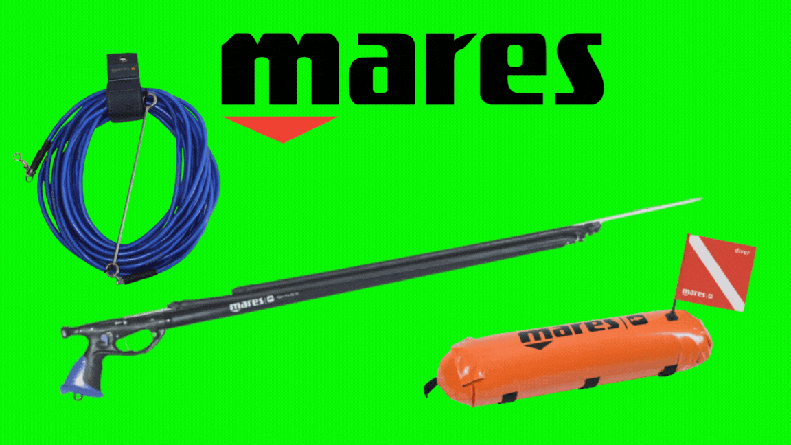 Mares Viper Pro 和 Float 鱼叉捕鱼套装