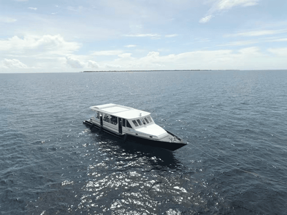 2027 New Year Maldives Four Atolls Liveaboard - Infinity Dive2027 New Year Maldives Four Atolls LiveaboardInfinity Dive