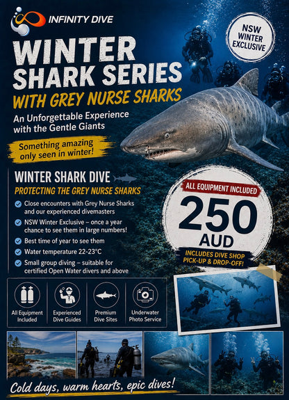 Bushrangers Bay Shark Dive