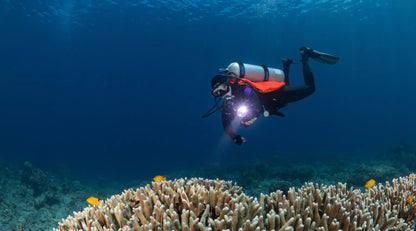 Halcyon Eclipse™ BC System Single Cylinder and Wing - Standard