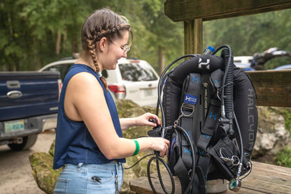 Halcyon Eclipse™ BC 系统 - 单缸和翼