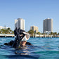 SDI Dive Master Course