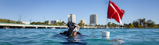 SDI Dive Master Course