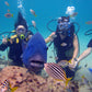 Discover Scuba Diving / Double Dive