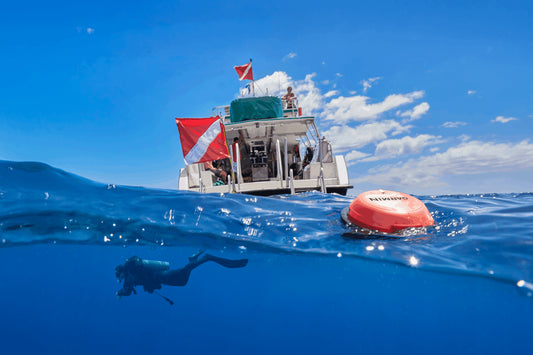 Garmin Descent™ S1 Buoy