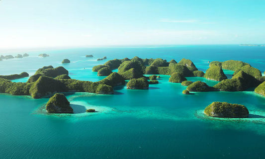 Palau 9D 8N Dive Trip - March 21-29 2026