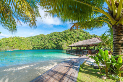 Palau 9-day 8-night Dive Adventures with 18 Guided Boat Dives