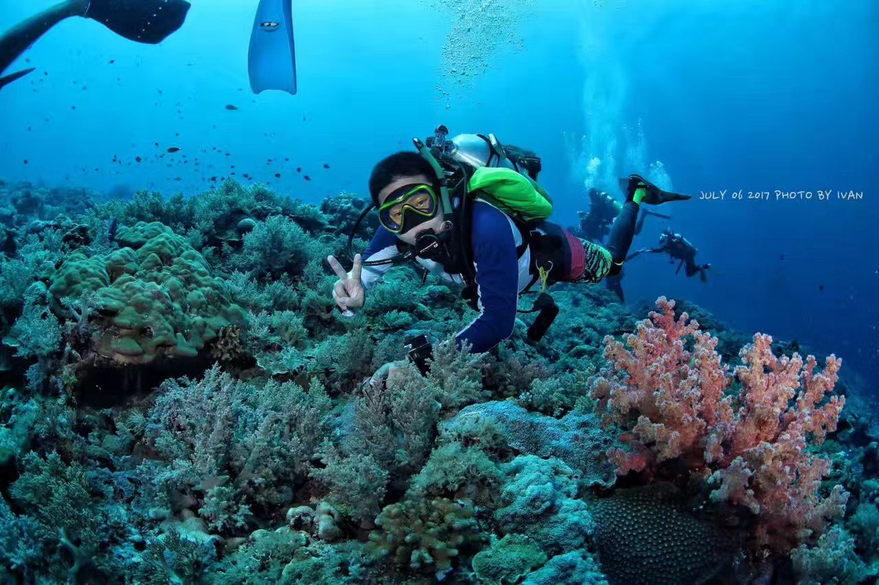 Palau 9-day 8-night Dive Adventures with 18 Guided Boat Dives