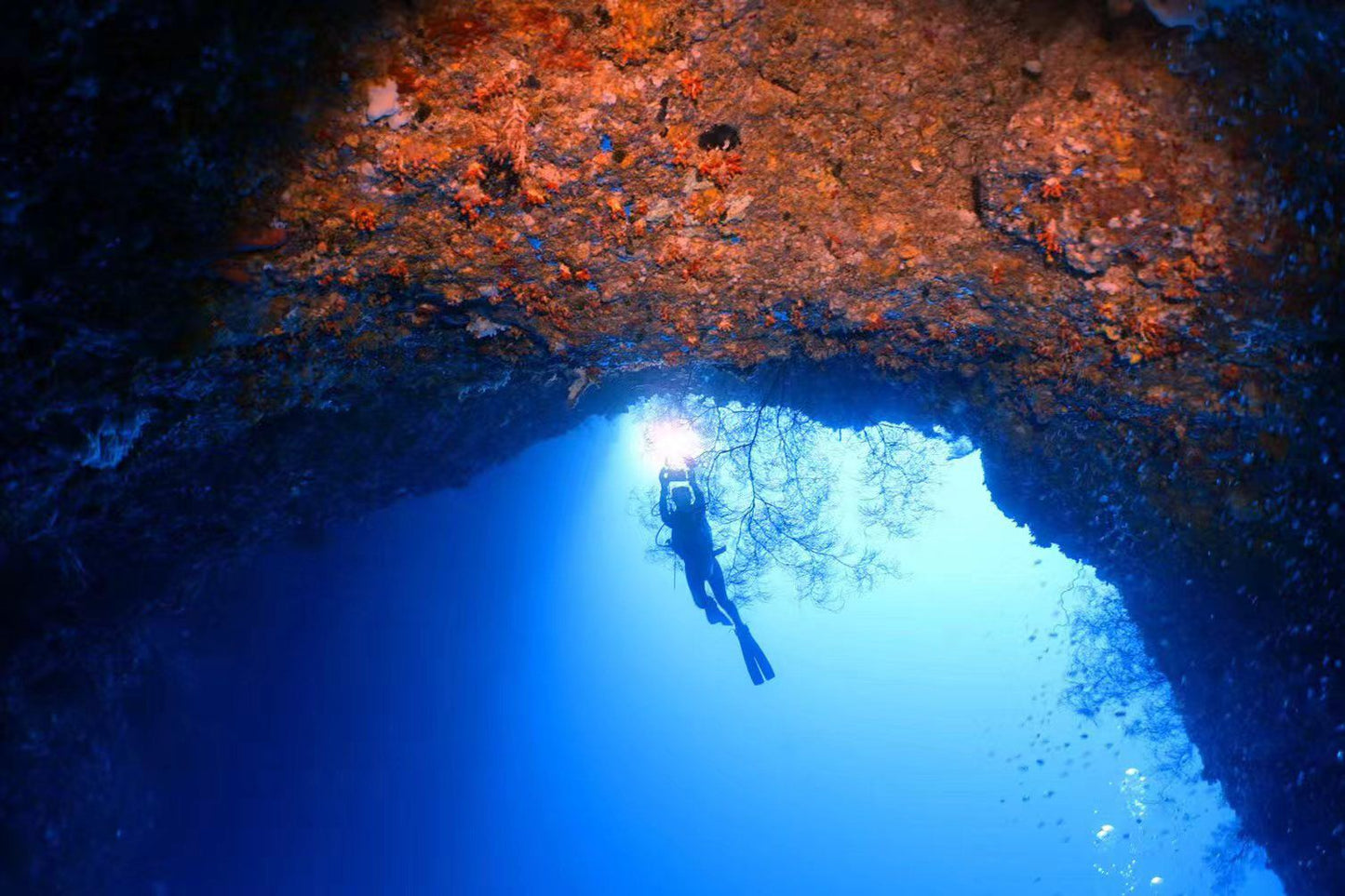 Palau 9-day 8-night Dive Adventures with 18 Guided Boat Dives