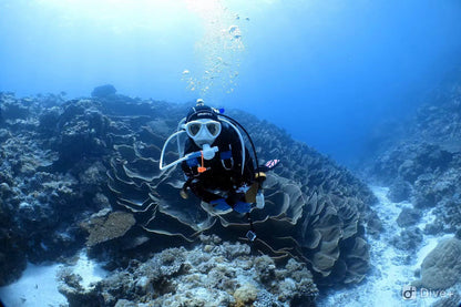 Palau 9-day 8-night Dive Adventures with 18 Guided Boat Dives