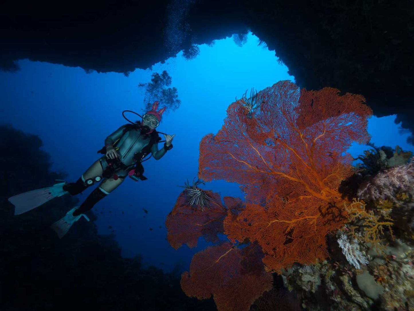 Palau 9-day 8-night Dive Adventures with 18 Guided Boat Dives