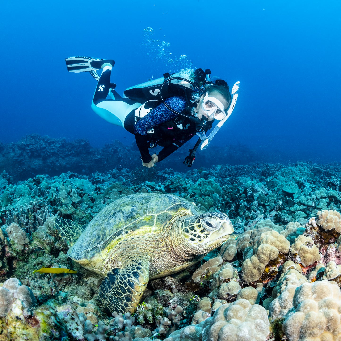 Scubapro Zoom Lite Dive Mask - Dual-Lens, Lightweight & Anti-Fog