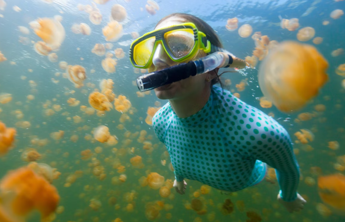 Palau 9-day 8-night Dive Adventures with 18 Guided Boat Dives