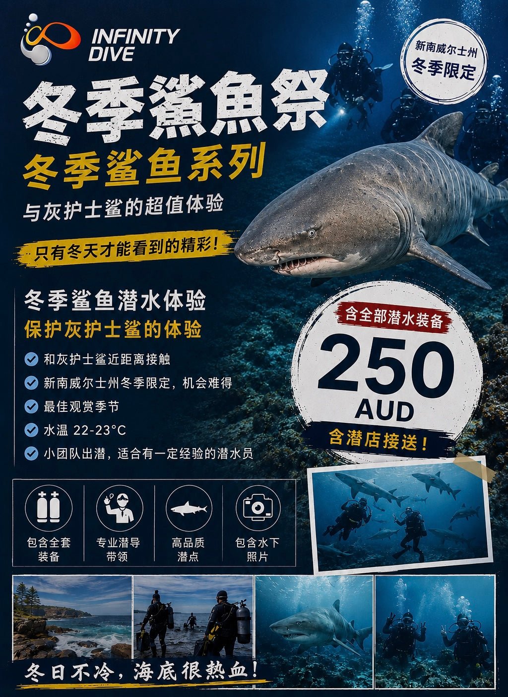 Bushrangers Bay Shark Dive - Infinity DiveBushrangers Bay Shark DiveInfinity Dive