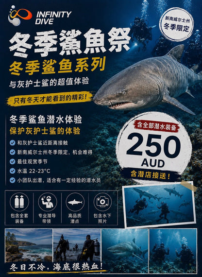 Bushrangers Bay Shark Dive - Infinity DiveBushrangers Bay Shark DiveInfinity Dive