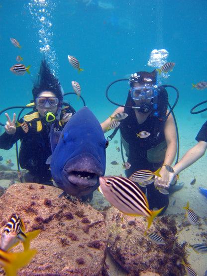 Discover Scuba Diving / Double Dive - Infinity DiveDiscover Scuba Diving / Double DiveInfinityDive