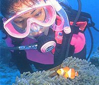 Discover Scuba Diving / Double Dive - Infinity DiveDiscover Scuba Diving / Double DiveInfinityDive
