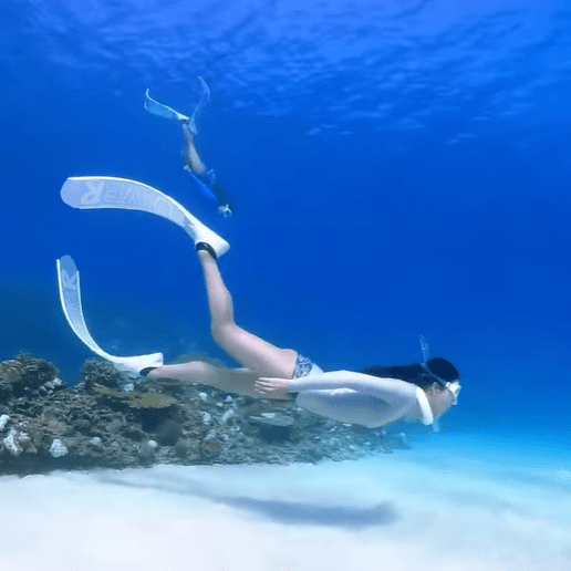 DiveR Clear Free Diving Fin Blades - Infinity DiveDiveR Clear Free Diving Fin BladesDiveR