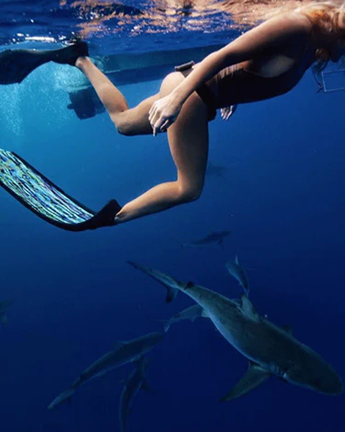 DiveR - Paua Free Diving Fin Blades - Infinity DiveDiveR - Paua Free Diving Fin BladesDiveR