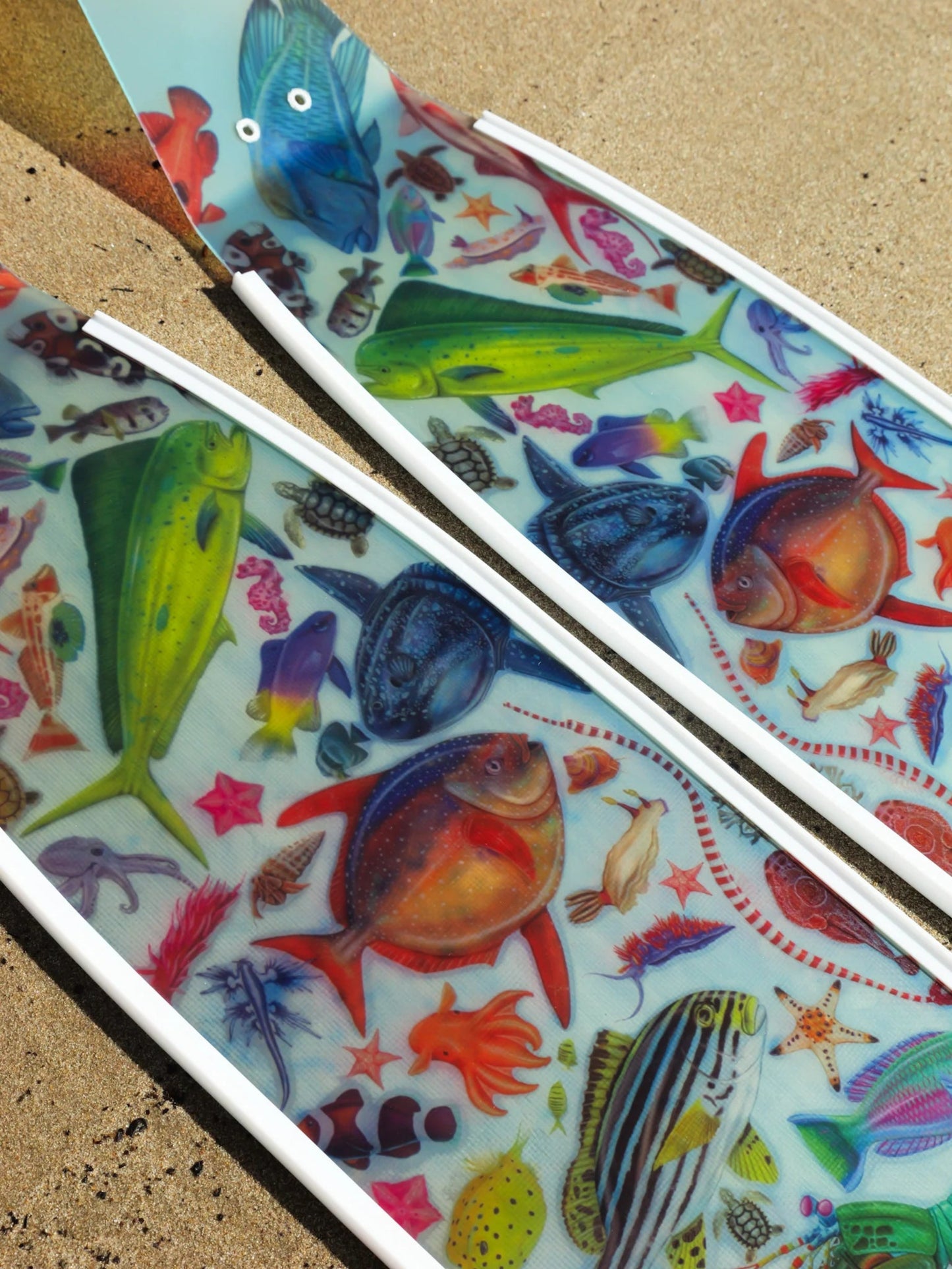 Colorful fish illustrations on a textured surface