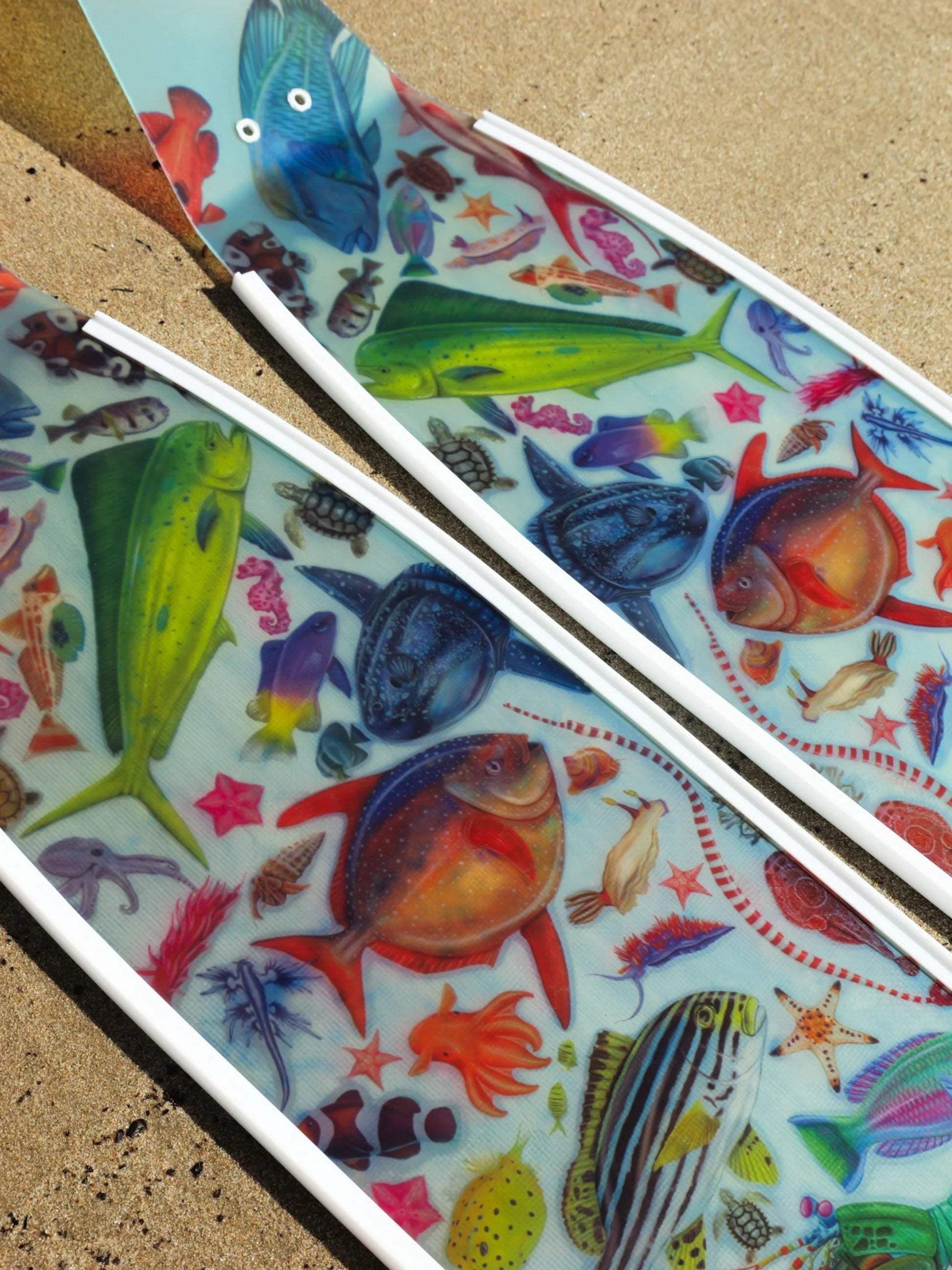 Colorful fish illustrations on a textured surface