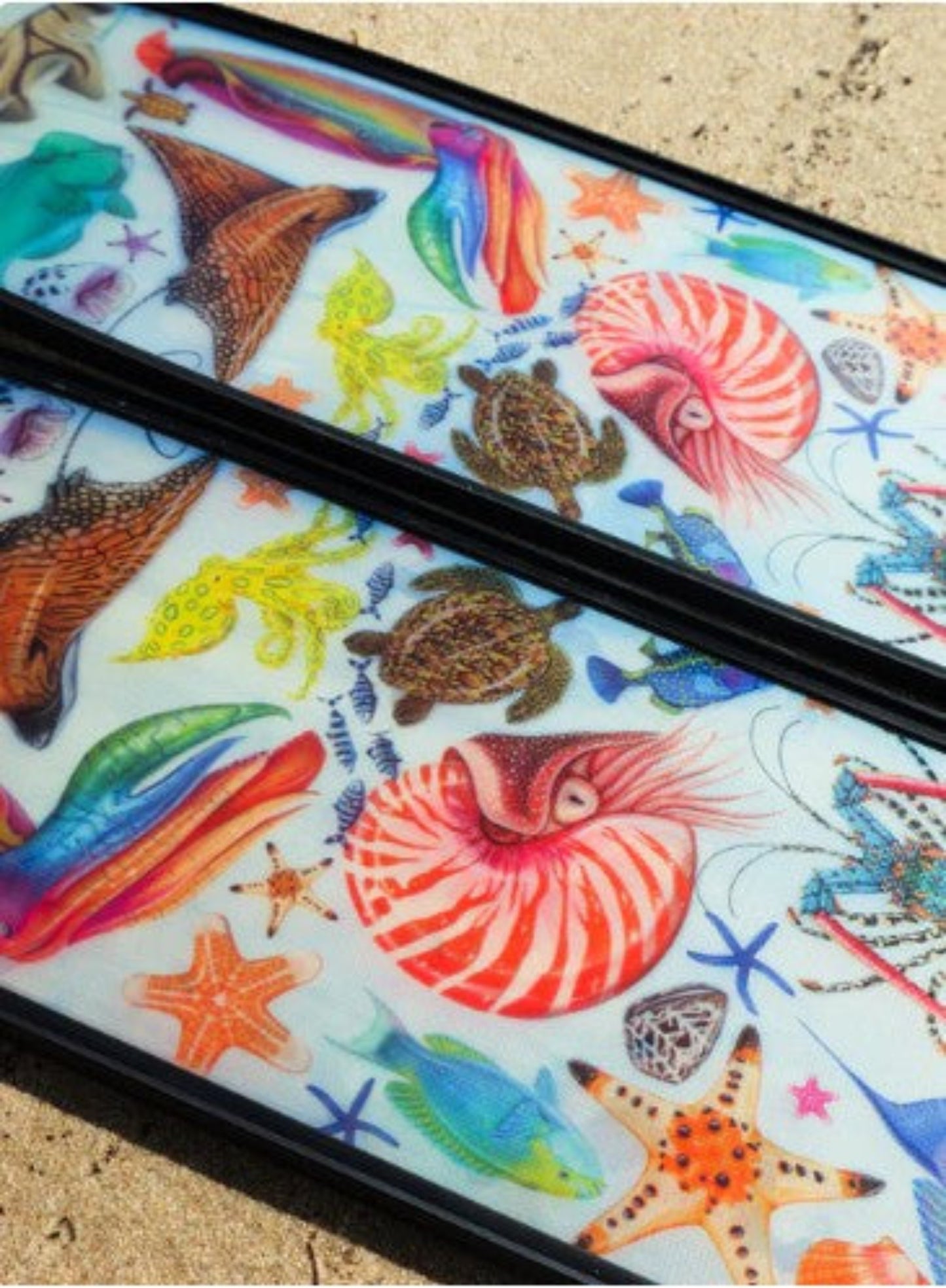 divermon-rainbow-free diving fins